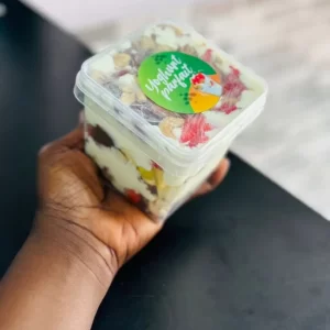 Plain yoghurt Parfait Bowl unsweetened 500ml MÓ dùn